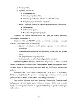 Prakses atskaite 'Profesionālās prakses pārskats SIA "Aleksart"', 16.