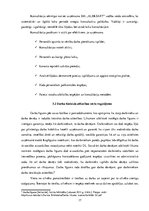 Prakses atskaite 'Profesionālās prakses pārskats SIA "Aleksart"', 17.