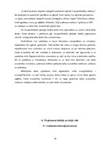 Prakses atskaite 'Profesionālās prakses pārskats SIA "Aleksart"', 26.