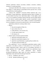 Prakses atskaite 'Profesionālās prakses pārskats SIA "Aleksart"', 28.