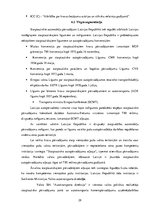 Prakses atskaite 'Profesionālās prakses pārskats SIA "Aleksart"', 29.