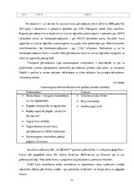 Prakses atskaite 'Profesionālās prakses pārskats SIA "Aleksart"', 33.