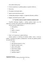 Prakses atskaite 'Profesionālās prakses pārskats SIA "Aleksart"', 34.