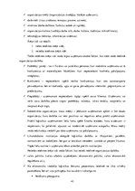 Prakses atskaite 'Profesionālās prakses pārskats SIA "Aleksart"', 43.