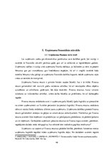 Prakses atskaite 'Profesionālās prakses pārskats SIA "Aleksart"', 46.