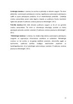 Referāts 'Studiju darbs autotransporta loģistikā', 13.