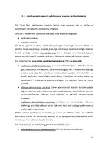 Referāts 'Studiju darbs autotransporta loģistikā', 19.