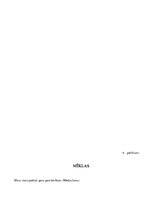 Konspekts 'Integrētās dienas konspekts "Ziema"', 19.