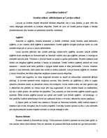 Referāts 'Izraēlas etiķete salīdzinājumā ar Latvijas etiķeti', 1.