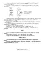 Konspekts 'Kuģu radio lokācija', 10.