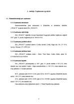 Biznesa plāns 'SIA “VEGA’D”', 4.