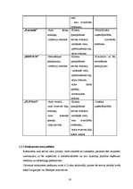 Biznesa plāns 'SIA “VEGA’D”', 19.