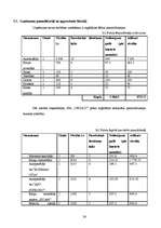 Biznesa plāns 'SIA “VEGA’D”', 26.