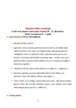 Prezentācija 'Pētījums par gadskārtu svētkiem. Ziemas saulgrieži', 22.