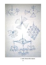 Prezentācija 'Pētījums par gadskārtu svētkiem. Ziemas saulgrieži', 49.