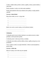 Paraugs 'Pilsoniskā izglītība – valsts, sabiedrība, tiesības un pienākumi', 14.