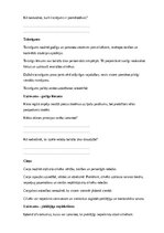 Paraugs 'Pilsoniskā izglītība – valsts, sabiedrība, tiesības un pienākumi', 18.
