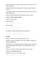 Paraugs 'Pilsoniskā izglītība – valsts, sabiedrība, tiesības un pienākumi', 31.