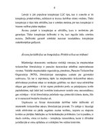 Referāts 'Organizatoriski - tiesiskās ārzonu biznesa formas', 6.
