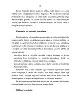 Referāts 'Organizatoriski - tiesiskās ārzonu biznesa formas', 22.