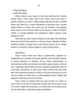 Referāts 'Organizatoriski - tiesiskās ārzonu biznesa formas', 38.