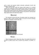 Referāts 'Augšzemes tautas tērps', 7.