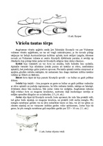 Referāts 'Augšzemes tautas tērps', 8.