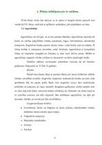 Referāts 'Fobijas', 4.