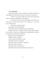 Referāts 'Fobijas', 10.