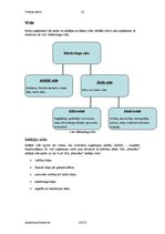 Prakses atskaite 'Prakses darbs mārketingā', 13.