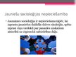 Referāts 'Jaunatnes socioloģija', 19.