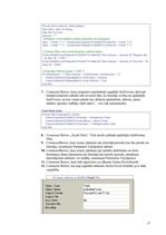 Referāts 'Biroja automatizācijas iespējas MS Access vidē', 17.