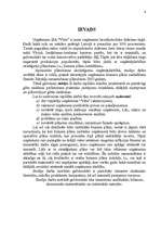 Biznesa plāns 'Biznesa plāns uzņēmumam 2007.gadam', 4.