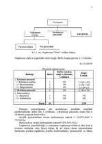 Biznesa plāns 'Biznesa plāns uzņēmumam 2007.gadam', 7.