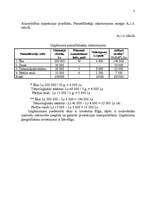 Biznesa plāns 'Biznesa plāns uzņēmumam 2007.gadam', 8.