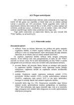 Biznesa plāns 'Biznesa plāns uzņēmumam 2007.gadam', 11.