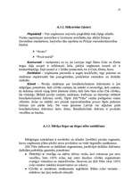 Biznesa plāns 'Biznesa plāns uzņēmumam 2007.gadam', 13.