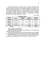 Biznesa plāns 'Biznesa plāns uzņēmumam 2007.gadam', 17.