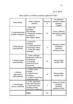 Biznesa plāns 'Biznesa plāns uzņēmumam 2007.gadam', 19.