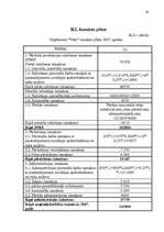 Biznesa plāns 'Biznesa plāns uzņēmumam 2007.gadam', 24.