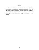 Referāts 'Alberta Bela romāns "Izmeklētājs"', 3.