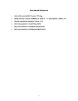 Referāts 'Alberta Bela romāns "Izmeklētājs"', 9.