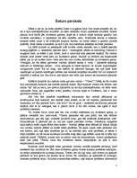 Referāts 'A.Snips "Pasaule pēc tam" ', 5.