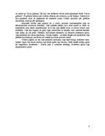 Referāts 'A.Snips "Pasaule pēc tam" ', 6.