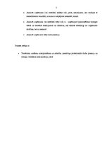 Prakses atskaite 'Uzņēmums SIA "Starptautiskā rakstnieku un tulkotāju māja"', 3.