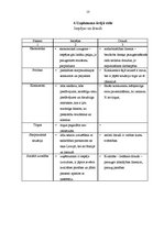 Prakses atskaite 'Uzņēmums SIA "Starptautiskā rakstnieku un tulkotāju māja"', 13.