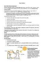 Konspekts 'Sūkjo Mahikari', 1.