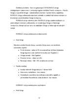 Konspekts 'Līzings Latvijā', 13.