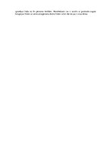 Eseja 'Valsts loma cilvēktiesību nodrošināšanā', 2.