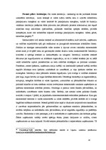 Referāts 'Investīciju ekonomiskā būtība', 18.